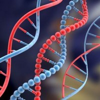 Genética pode ser responsável por cirrose