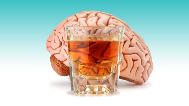 Pesquisa brasileira mostra alterações cerebrais durante abstinência do álcool